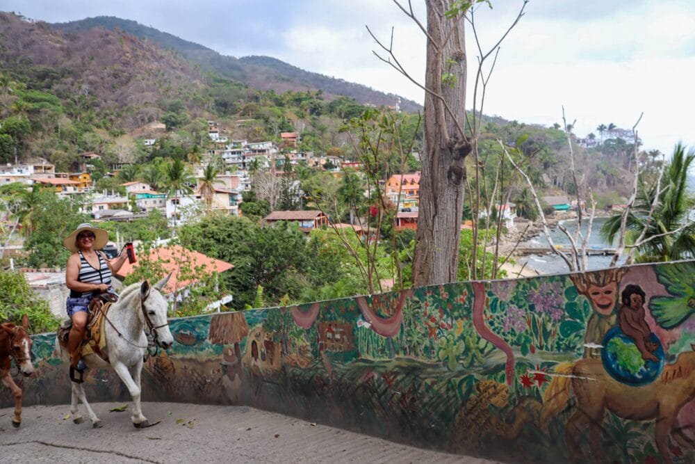 PUEBLO DE YELAPA
